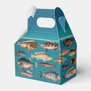 Colorful Fish Under Blue Ocean Water   Favour Box
