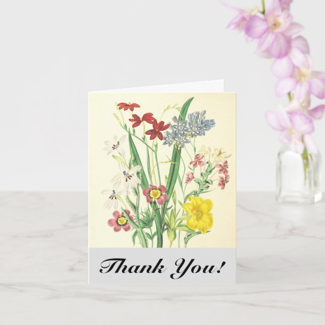 Colorful Flowers and Plants, "Thank You!" Postcard (Orchid)