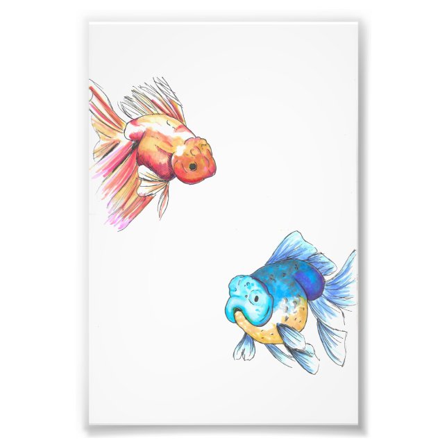 Colorful Goldfish Print (Front)