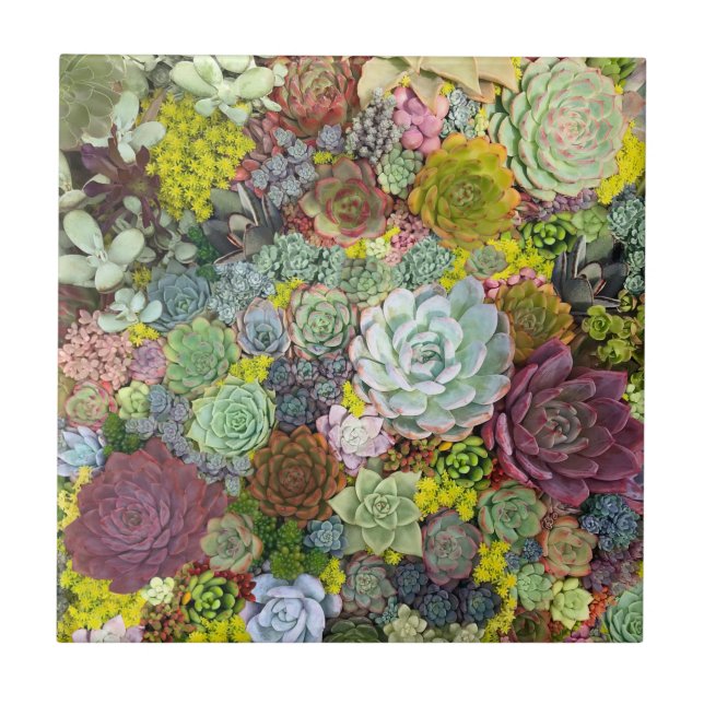 Colorful Greenery Succulents Tile (Front)