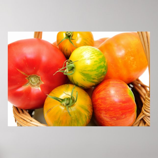 Colorful Heirloom Tomatoes Poster (Front)