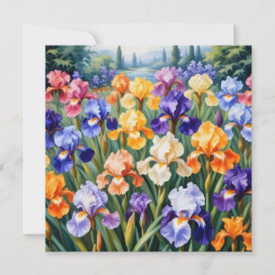Colorful iris garden