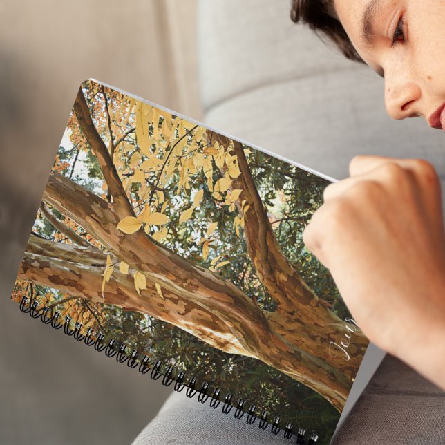 Colorful Japanese Stewartia Tree Bark Notebook (In Situ)