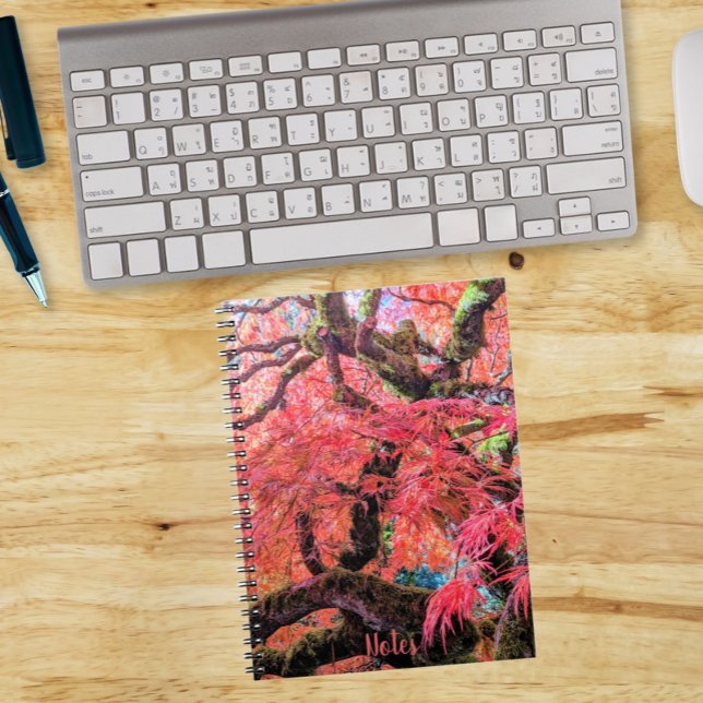 Colorful Laceleaf Japanese Maple Tree Notebook (In Situ)