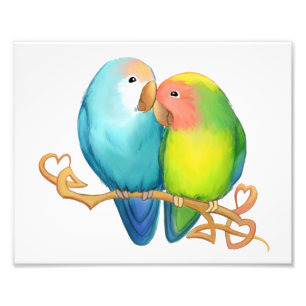 Colorful Lovebirds Photo Print