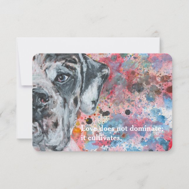 Colorful Mr. Dane Invitation (Front)