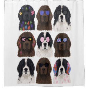 Colorful Newfoundlands (Black, Brown, Landseer) Shower Curtain