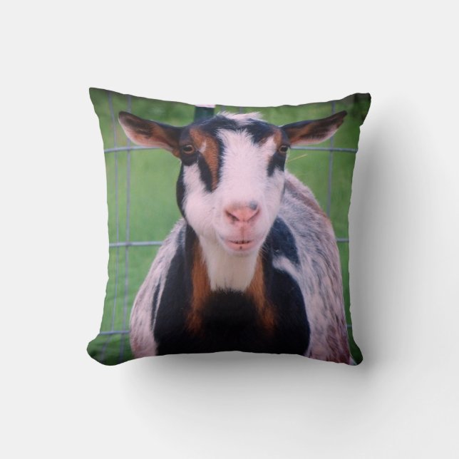 Colorful Nigerian Dwarf Dairy Goat Cushion (Front)