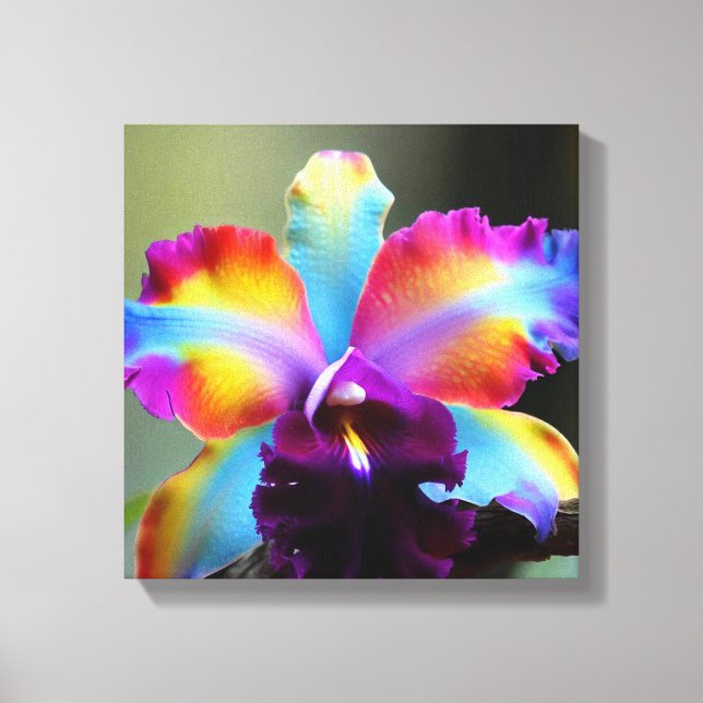 Colorful orchids canvas print (Front)