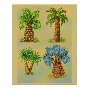 Colorful palm tree varieties. poster