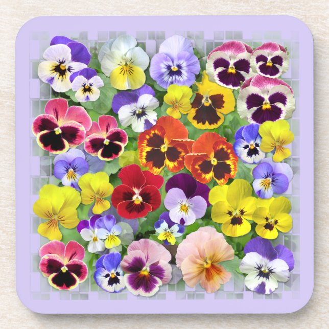 Colorful Pansy Display Coaster (Front)