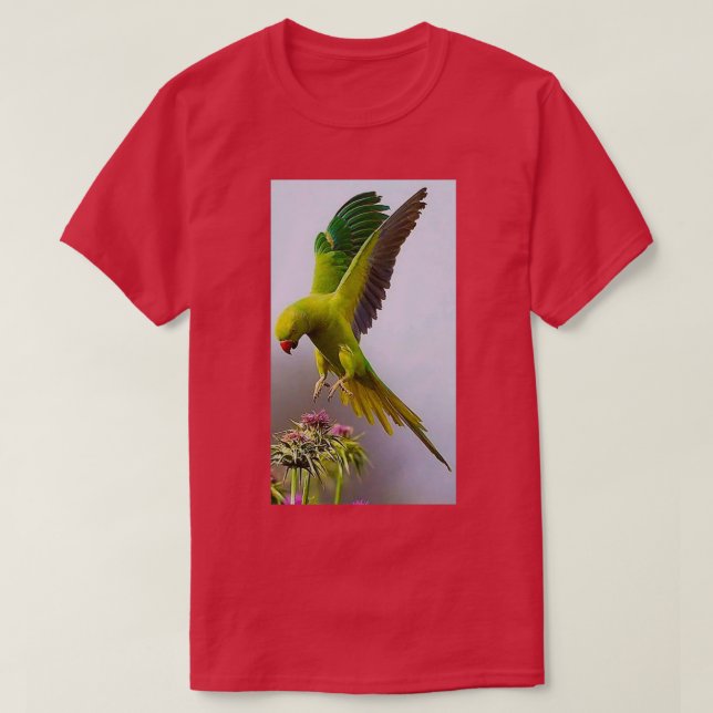 Colorful parrot 1 T-Shirt (Design Front)