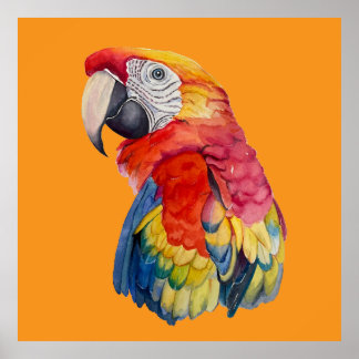Colorful Parrot Watercolor Illustration Poster