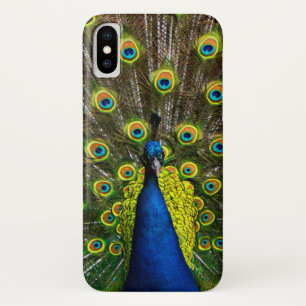 Colorful peacock Case-Mate iPhone case