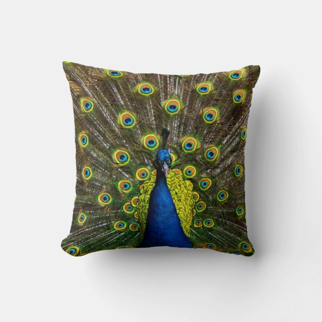 Colorful peacock cushion (Front)