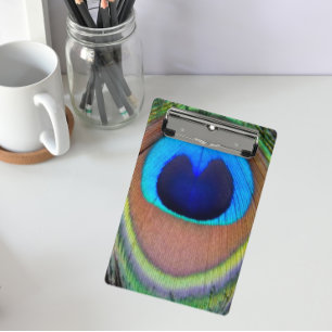 Colorful Peacock Feather Eyespot Mini Clipboard