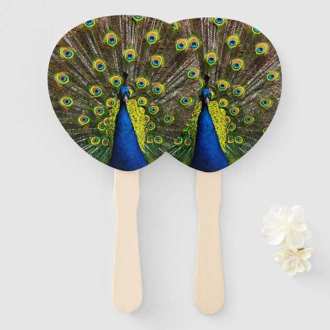 Colorful peacock hand fan (Front and Back)