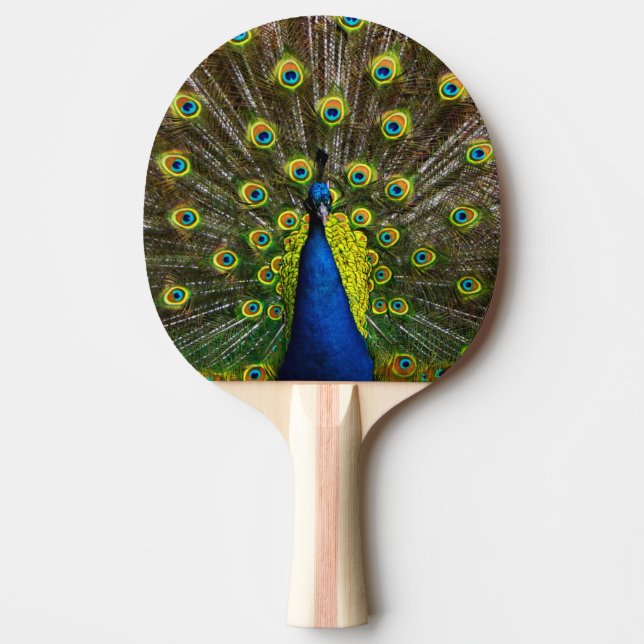 Colorful peacock ping pong paddle (Front)