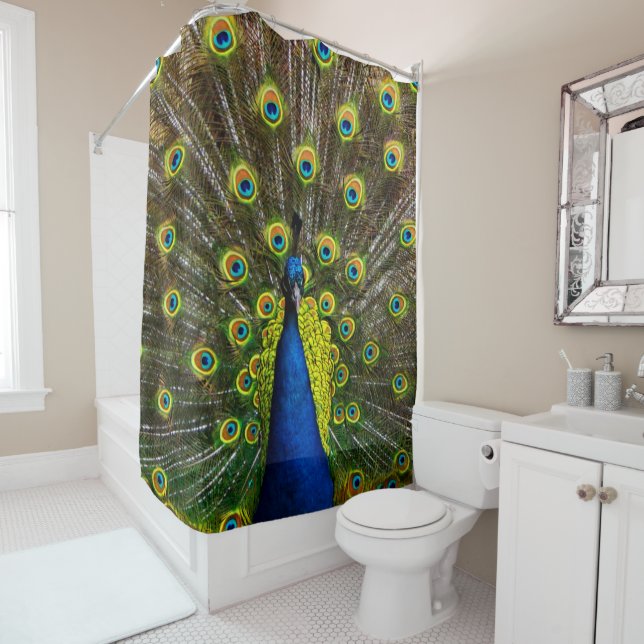 Colorful peacock shower curtain (In Situ)