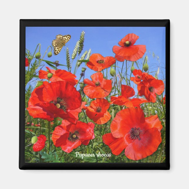 Colorful Poppy Field Magnet (Front)