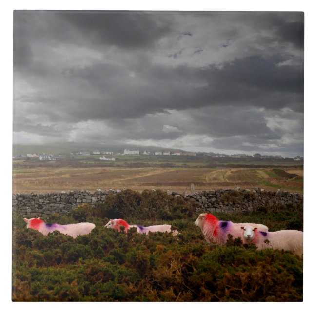 Colorful sheep tile (Front)