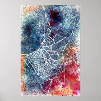 colorful spider web poster