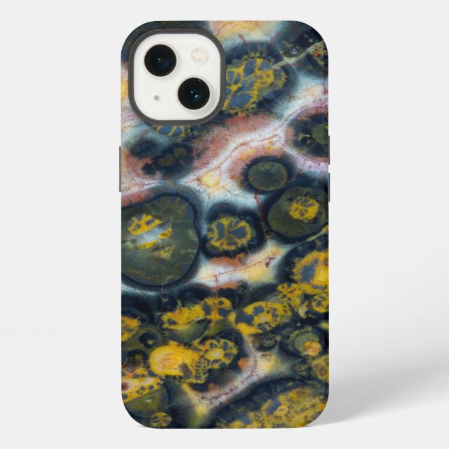 Colorful Spotted Ocean Jasper iPhone Case (Back)