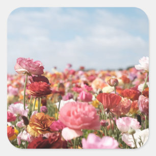 Colorful spring flower sticker