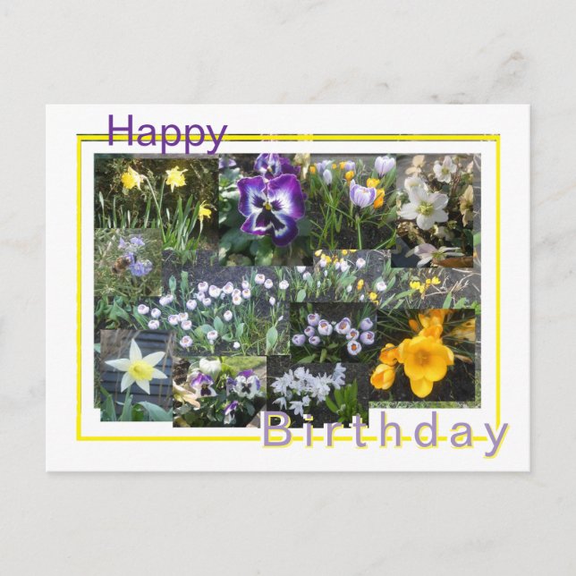 Colorful Spring Flowers Collage Birthday Postcard (Front)