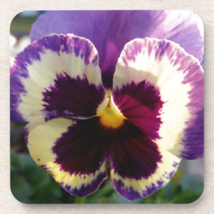 colorful spring Pansy Coaster