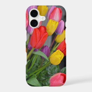 Colorful spring tulips