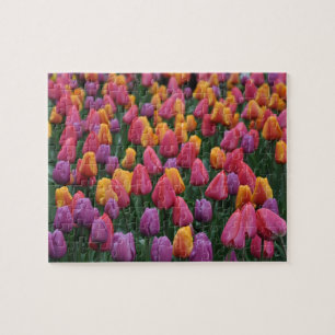 Colorful spring tulips jigsaw puzzle