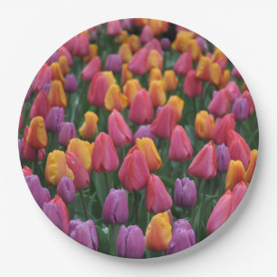Colorful spring tulips paper plate