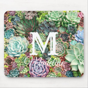Colorful Succulent Garden Mouse Pad
