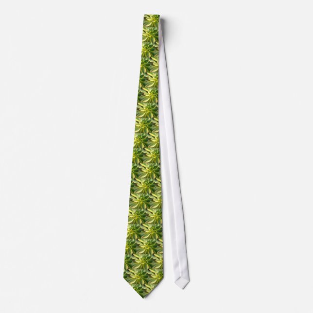 Colorful Succulent Tie #2 (Front)