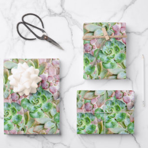 Colorful Succulent     Wrapping Paper Sheet