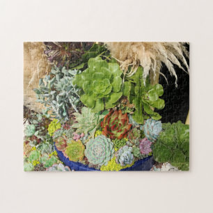 Colorful Succulents with Silver Grass Jigsaw Puzzle
