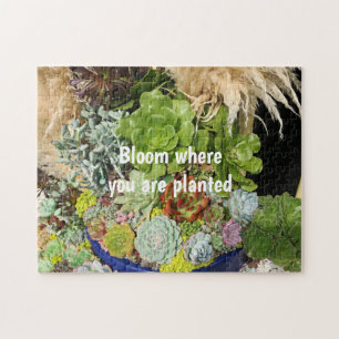 Colorful Succulents with Silver Grass Jigsaw Puzzle