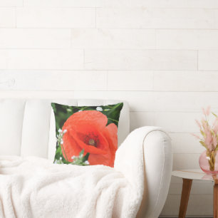 Colorful summer field poppy flower in green vegeta cushion