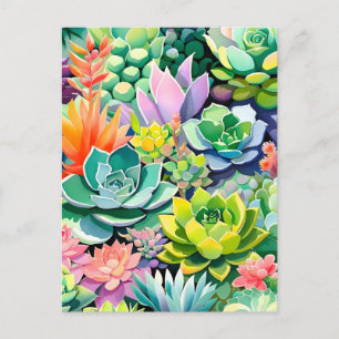 Colorful Summer Succulent Botanical Garden Holiday Postcard