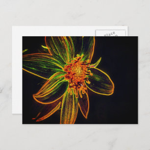 Colorful Sunflower Abstract Flower Art Postcard