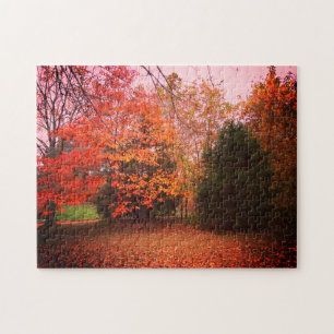 Colorful Trees Of Fall Jigsaw Puzzle