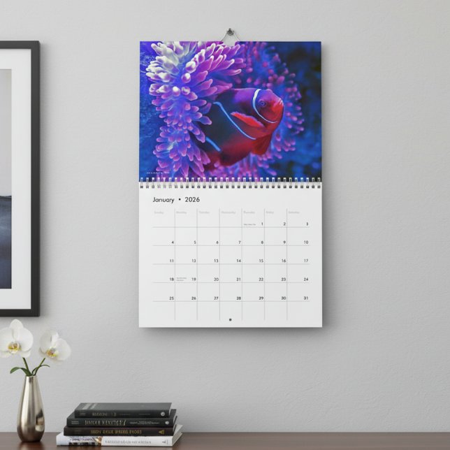 Colorful Tropical Fish 2026 Underwater Paradise  Calendar (Creator Uploaded)