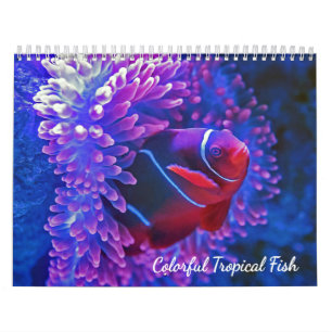 Colorful Tropical Fish 2026 Underwater Paradise  Calendar