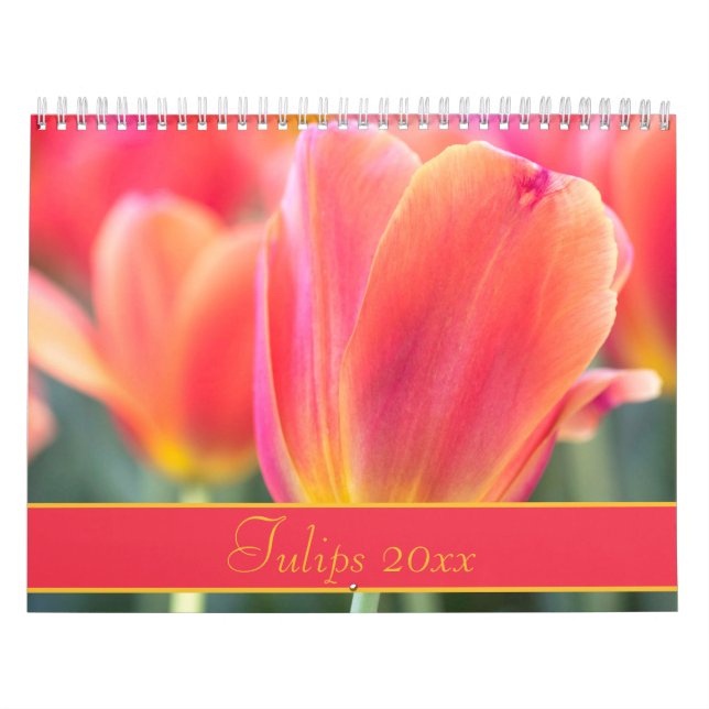 Colorful Tulips Photography Calendar (Cover)