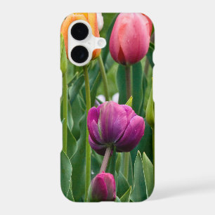 Colorful Tulips Print