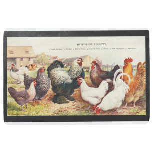 Rooster Chicken Indoor Floor Mats Rugs Zazzle Co Nz