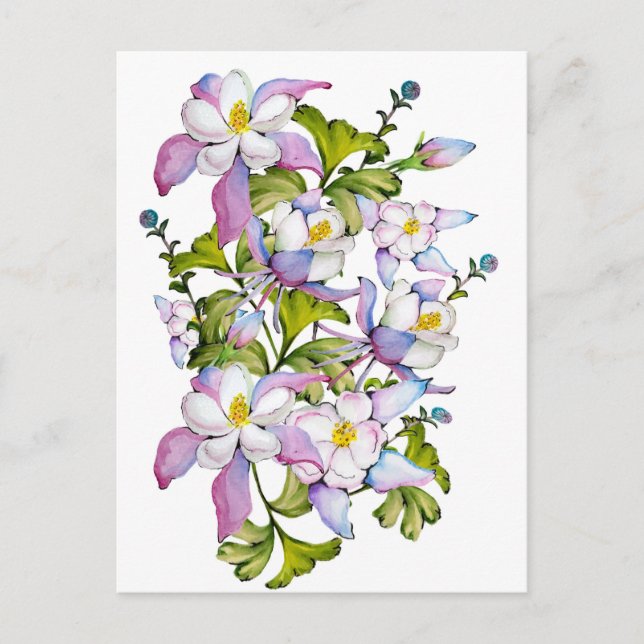 Colorful watercolor bouquet of columbine and green postcard (Front)