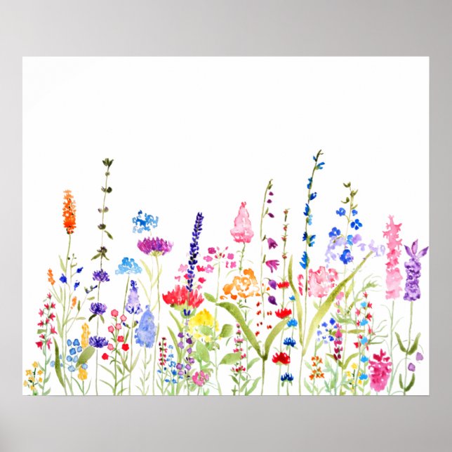 colorful wild flower field  poster (Front)