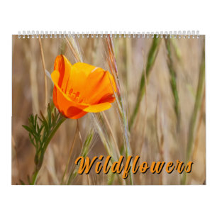 Colorful Wildflowers Calendar